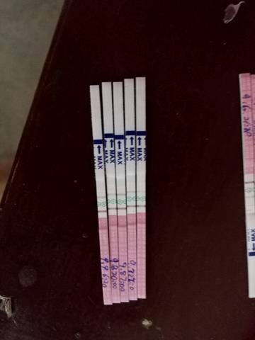journal_insert_pic_834844996