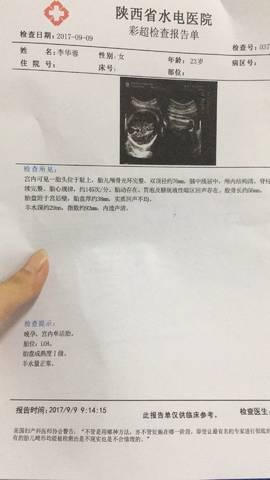 journal_insert_pic_835179651