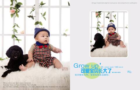journal_insert_pic_835025623