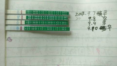 journal_insert_pic_835529629