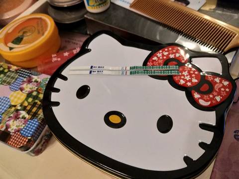 journal_insert_pic_835594454