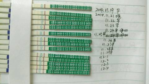journal_insert_pic_835529617