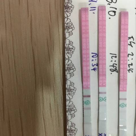 journal_insert_pic_836369971