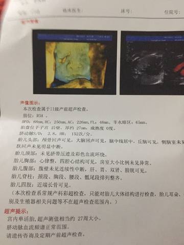 journal_insert_pic_837155135