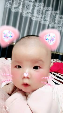 journal_insert_pic_837335390
