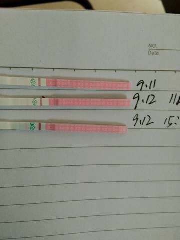 journal_insert_pic_837456482