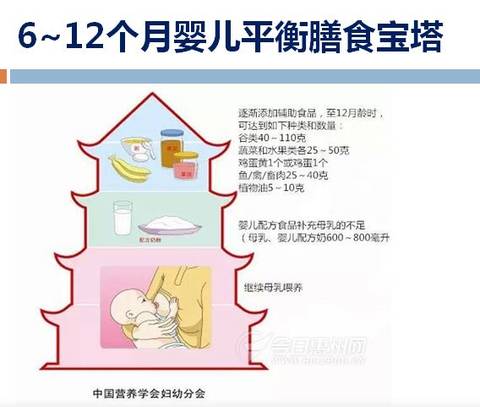 journal_insert_pic_837954201