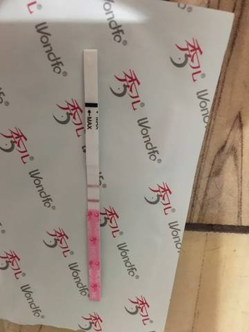 journal_insert_pic_837745554
