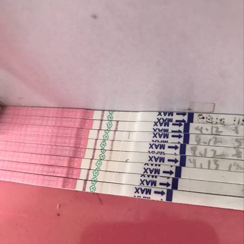 journal_insert_pic_838648630
