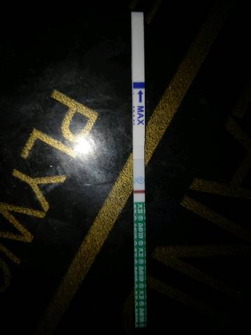 journal_insert_pic_839228023