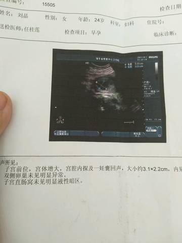 journal_insert_pic_839252060