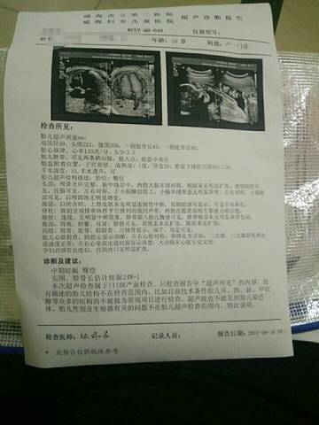 journal_insert_pic_840337663