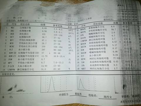 journal_insert_pic_841752044