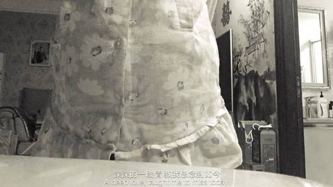 journal_insert_pic_842036406