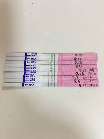 journal_insert_pic_842721986