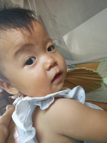 journal_insert_pic_842305721