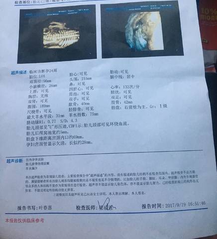 journal_insert_pic_842567473