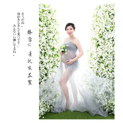 journal_insert_pic_842578633