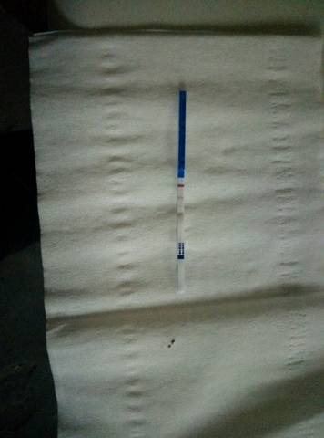 journal_insert_pic_843911901