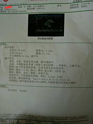journal_insert_pic_844634791