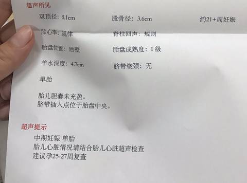 journal_insert_pic_845052460