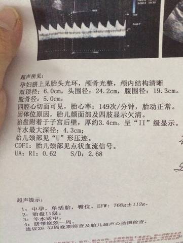 journal_insert_pic_845184072