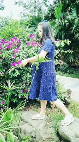 journal_insert_pic_846122117