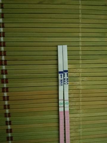 journal_insert_pic_846195019