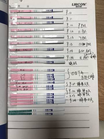 journal_insert_pic_846184360