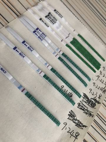 journal_insert_pic_845715387