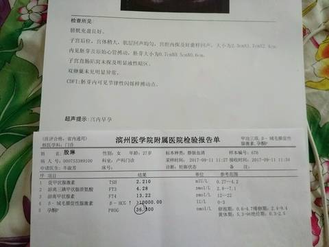 journal_insert_pic_848451254
