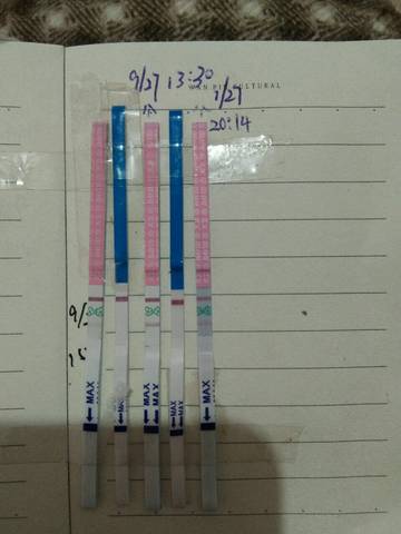 journal_insert_pic_848614735