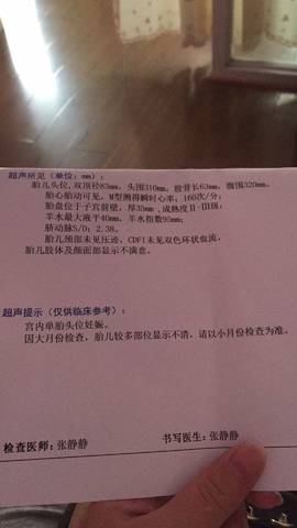 journal_insert_pic_848127169