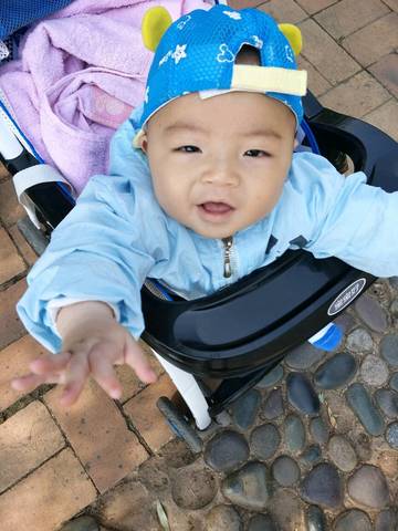 journal_insert_pic_849810441