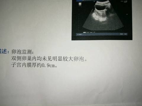 journal_insert_pic_849471057