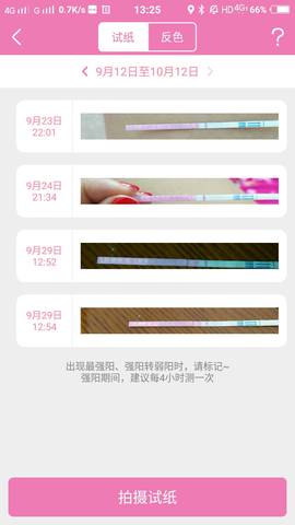 journal_insert_pic_849706638