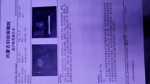 journal_insert_pic_849616463