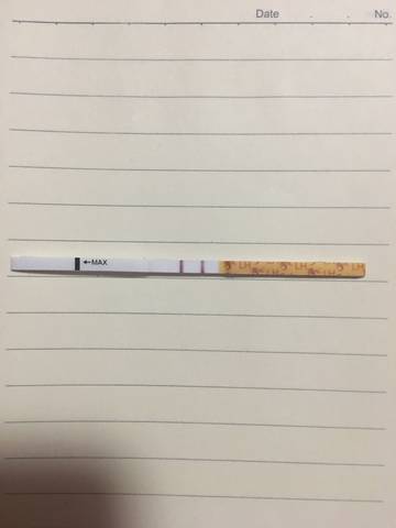 journal_insert_pic_851375735