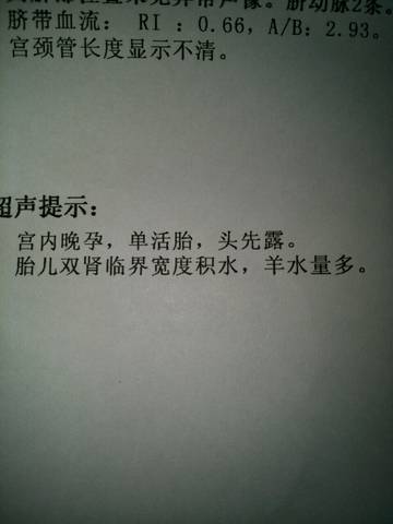 journal_insert_pic_850896495