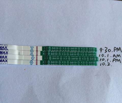 journal_insert_pic_851593584