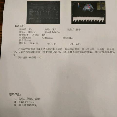 journal_insert_pic_853192988