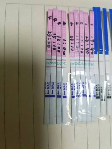 journal_insert_pic_853653324