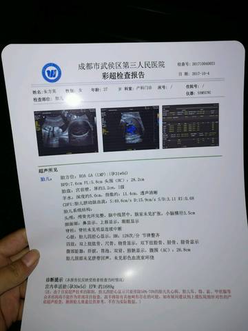 journal_insert_pic_854348861