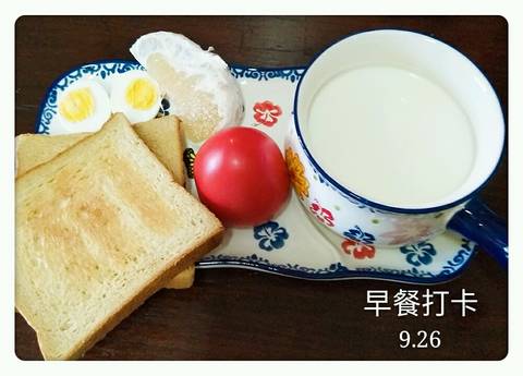 journal_insert_pic_854187683