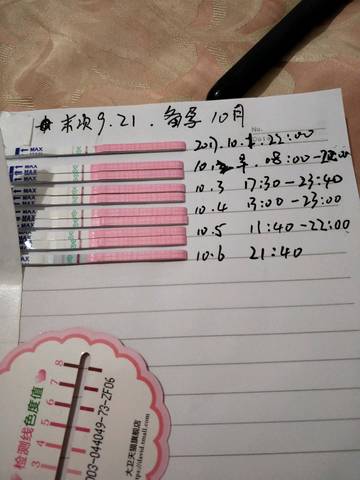 journal_insert_pic_855249514