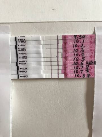 journal_insert_pic_856541693