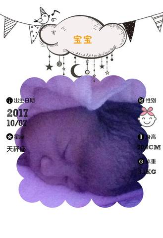 journal_insert_pic_856476422