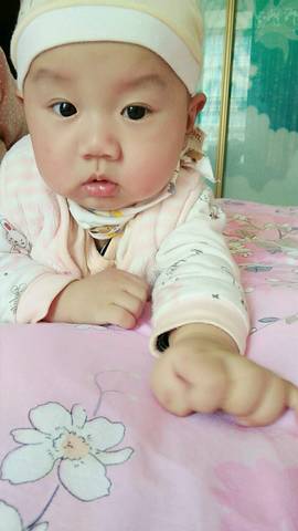 journal_insert_pic_859041402
