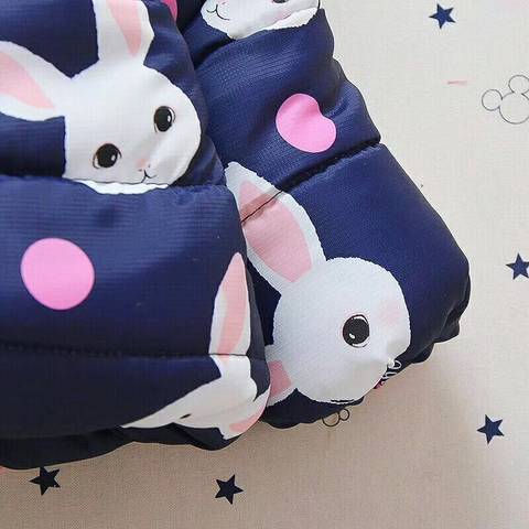 journal_insert_pic_859772430