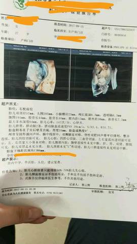 journal_insert_pic_859527363
